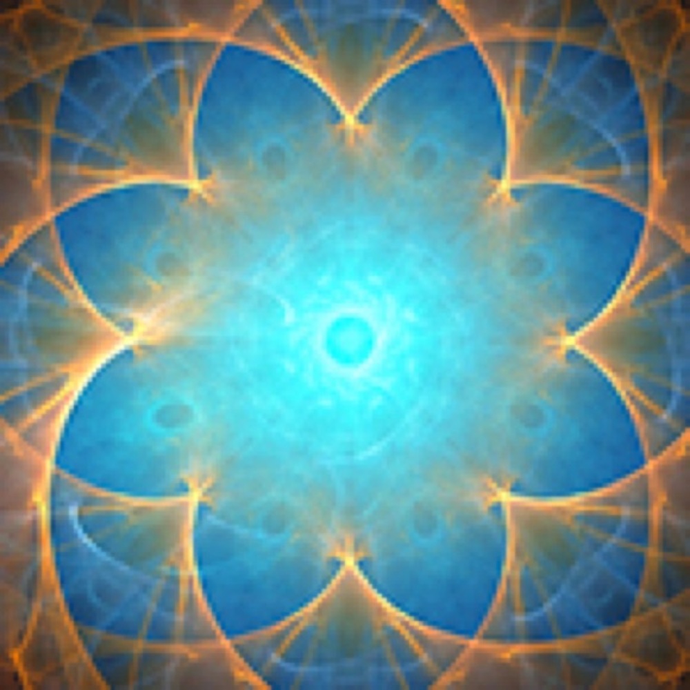 Meet your Posher, Anasa